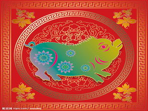 属猪带什么旺姻缘(属猪的人配戴什么招财积财)