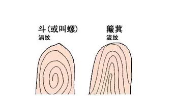 簸箕斗的说法姻缘(簸箕与斗的含义)
