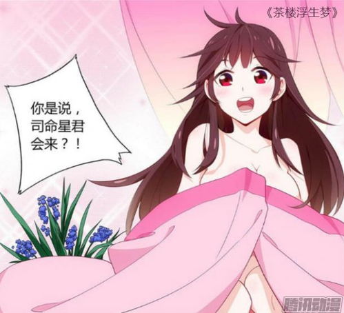 姻缘神请留下(姻缘神下拉式漫画)