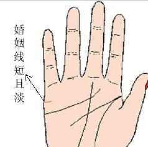 手相姻缘的图片女(看手相姻缘线怎么说)
