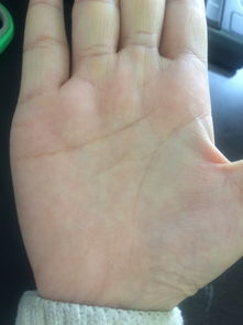 手相八字姻缘(手相八字看婚姻准吗)