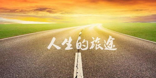 丁巳日命定姻缘方法(八字丁巳日详细论命)