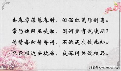 只求露水姻缘知乎(露水情缘,只谈风月,不谈前路)