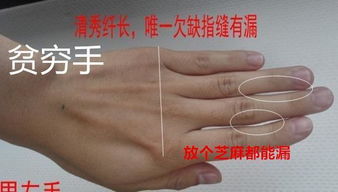 手腕姻缘线在哪里(手姻缘线怎么看)