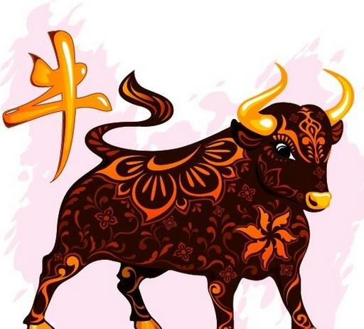 属牛虎年姻缘运势(2021年属牛和属虎感情运势)