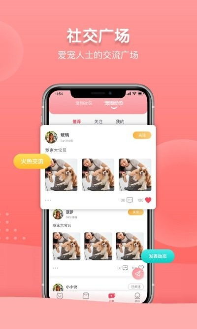 宠物姻缘app有哪些(宠物姻缘app有哪些软件)