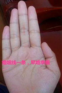 感情线下面的姻缘(感情线下面的姻缘线是什么)