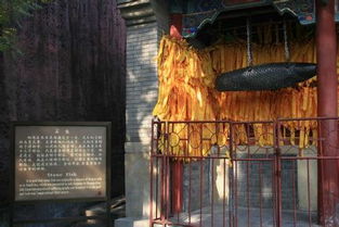 潭柘寺求姻缘几号去(潭柘寺求什么比较灵验)