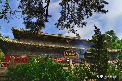 姻缘在哪个寺庙灵验(姻缘在哪个寺庙灵验些)