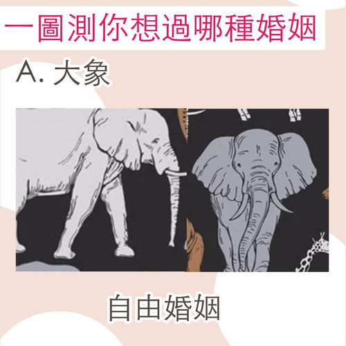 心理测试你的姻缘(心理测试你的姻缘是什么)