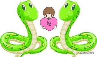 2017年属蛇姻缘(17年属蛇的全年运程)