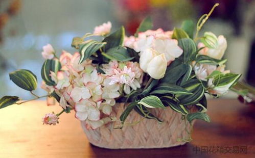 风水鲜花催姻缘图片(风水 鲜花)