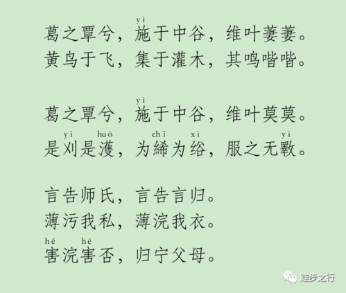诗经说姻缘的(诗经讲婚姻)
