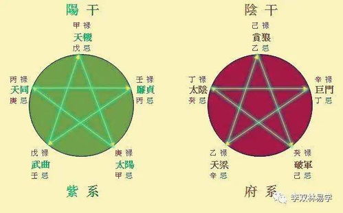 紫微化科姻缘(紫微怎么看姻缘)