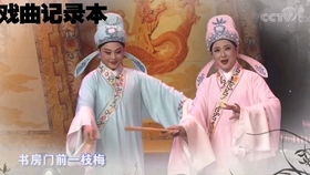 越剧飞来姻缘02(越剧飞来姻缘介绍)