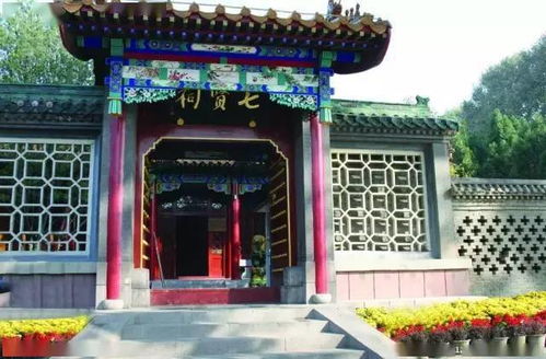 江湖世家姻缘祠(江湖世家七度网)