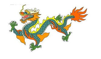 属龙虎年姻缘(属龙虎的夫妻会长久吗)