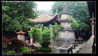 双桂堂 姻缘(双桂堂来历)