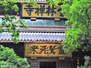 南普陀寺 姻缘(南普陀寺结缘)