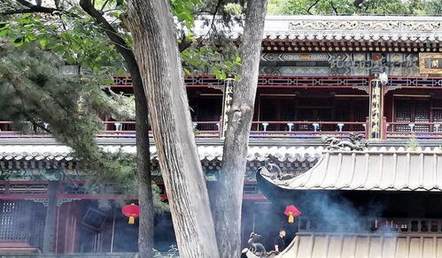 丹东求姻缘地方(丹东的寺庙解事祈福最灵的寺庙是哪个庙)