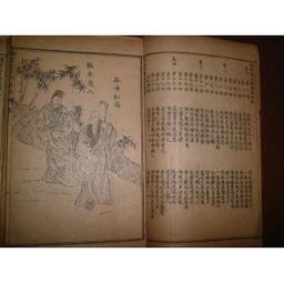 姻缘果报 txt下载(姻缘果报小说by静兮txt)