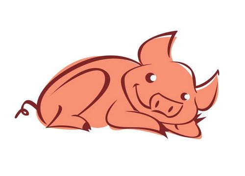 2017属猪的姻缘(属猪的2017年运势怎么样)
