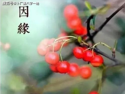 前世夫妻姻缘如何(前世夫妻姻缘如何看)