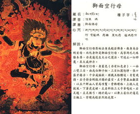 藏密 求姻缘(藏缘是什么意思)