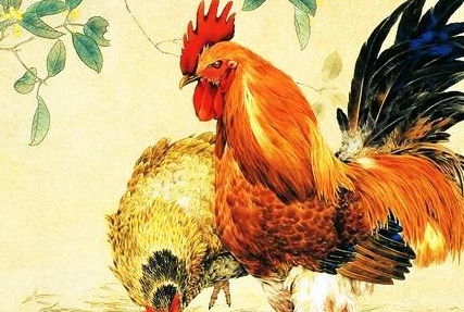 属鸡姻缘锦囊图片(属鸡姻缘锦囊图片高清)