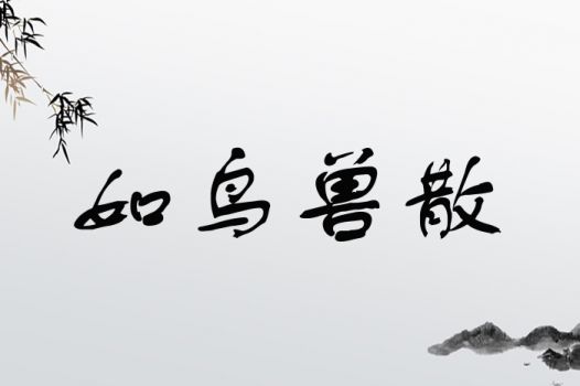 姻缘聚缘尽散(姻缘聚缘尽散什么意思)