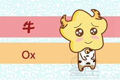 属牛人今年姻缘(属牛人今年姻缘好不好)