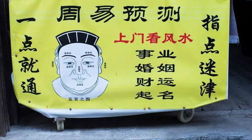 算卦语录姻缘的(算命语录姻缘)