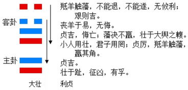 大壮变泰姻缘(大壮卦姻缘)