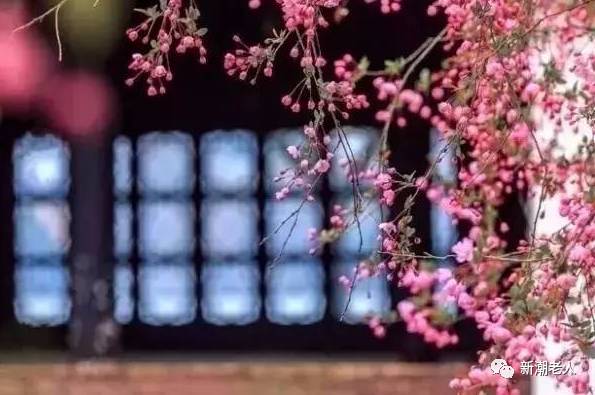 盼姻缘的近义词(期盼美好姻缘的短语)