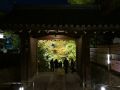 潭柘寺姻缘签(潭柘寺求签)