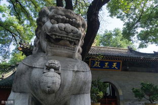 西藏 求姻缘(西藏求姻缘灵的)