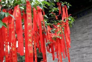 姻缘不在寺庙(姻缘不行)