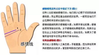 姻缘线免费(姻缘线解析)