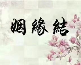 姻缘中等配(中等姻缘变上等姻缘)