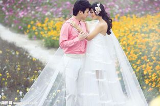 快递婚姻缘(快递婚纱)