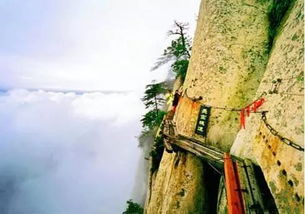 华山姻缘锁(华山求姻缘)