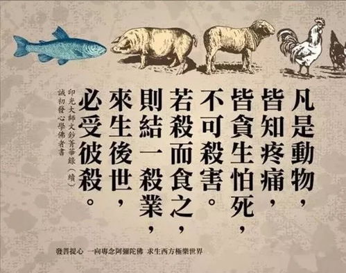 放生与姻缘(放生求姻缘的真实例子)