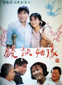 姻缘驾到电影(姻缘电视剧)