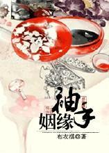 袖手姻缘续集(袖手姻缘 番外)