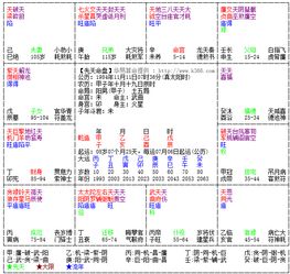 紫微姻缘免费(紫微姻缘详批)