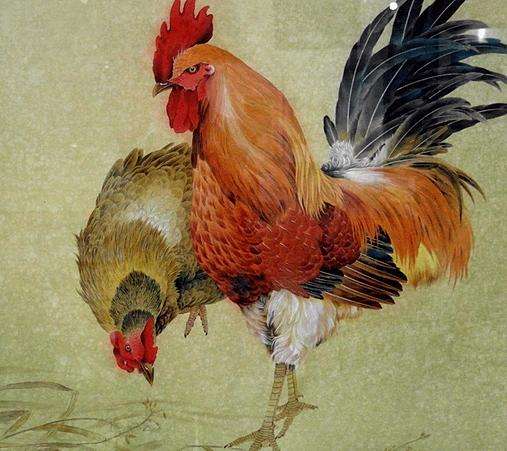 属鸡今年姻缘(属鸡今年的婚姻感情如何)