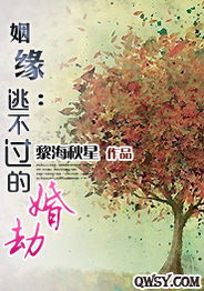 姻缘骨科文(姻缘小说)