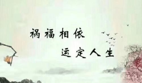姻缘淡(姻缘淡如水最简单三个步骤)