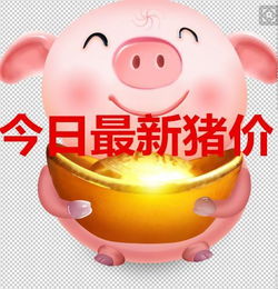 1995.8.10姻缘(95年猪姻缘在哪儿)