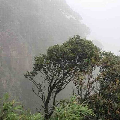 惠东九龙峰求姻缘灵吗(惠东九龙峰求签)